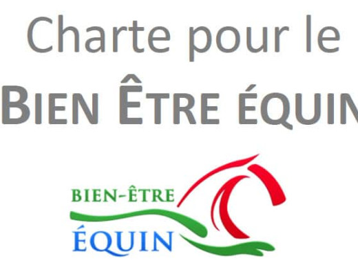 L'écurie active, un concept en parfait accord avec la charte nationale pour le bien-être équin