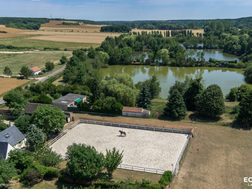 Êtes-vous certain que le sol de votre carrière équestre est bon pour votre cheval ?