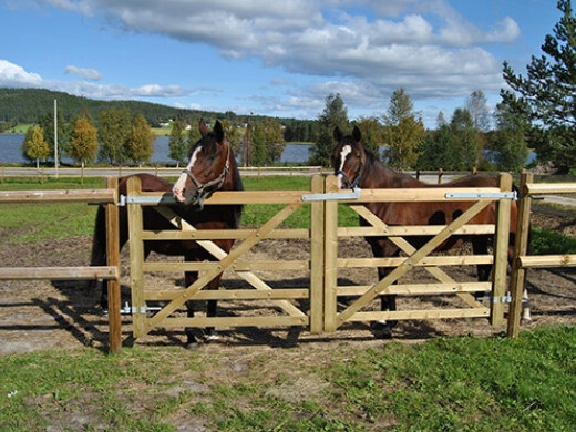 Barrière chevaux : quelle barrière pour quels besoins ?