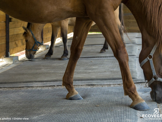 Dalles de caoutchouc pour vos chevaux : de quoi parlez-vous ?