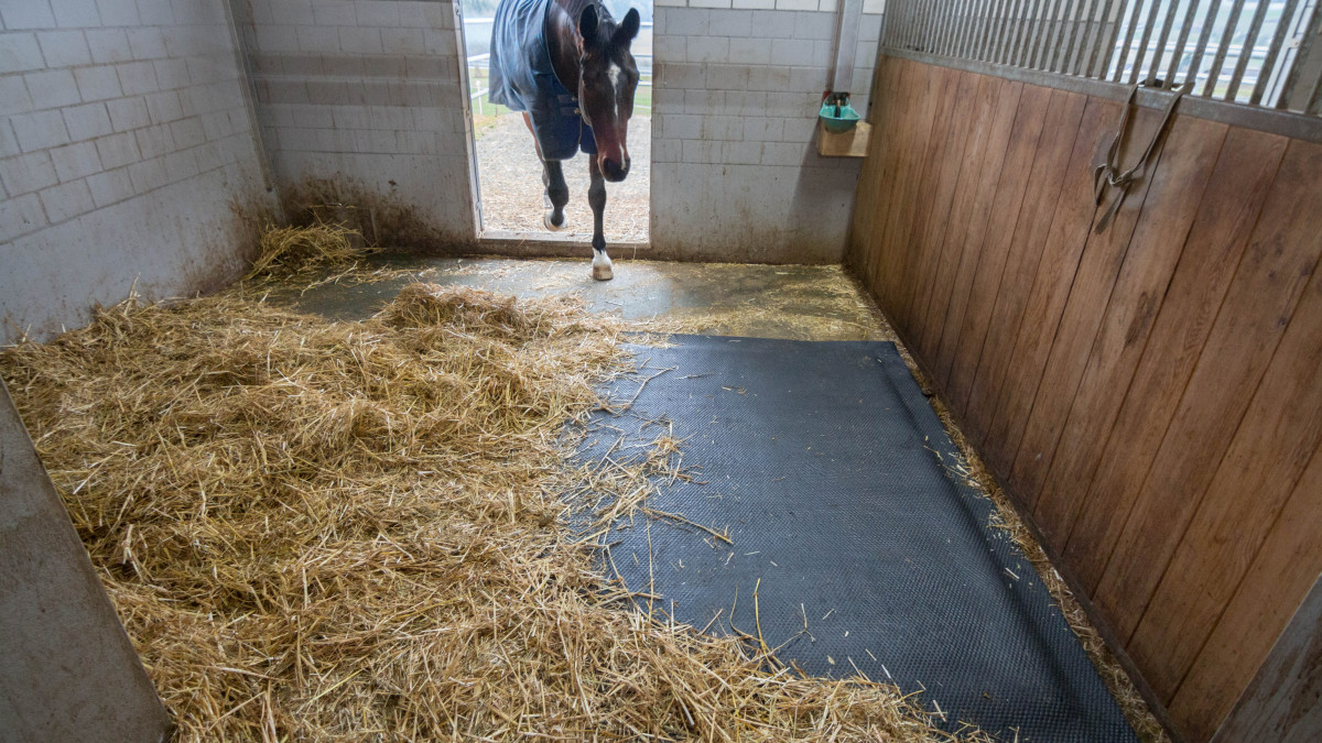 Comment économiser plus de 50% sur son budget litière cheval ?