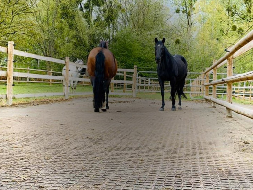 Comment stabiliser le sol d’un paddock pour chevaux ?