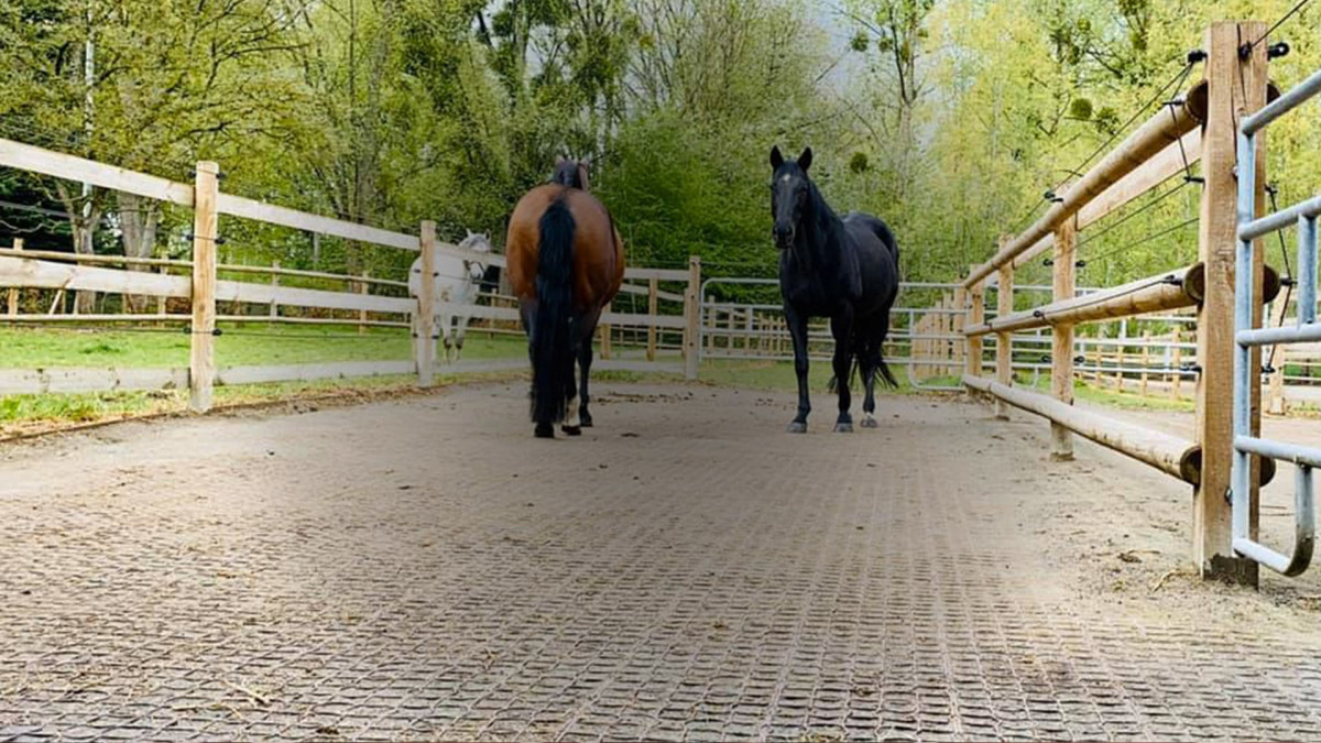 Comment stabiliser le sol d’un paddock pour chevaux ?
