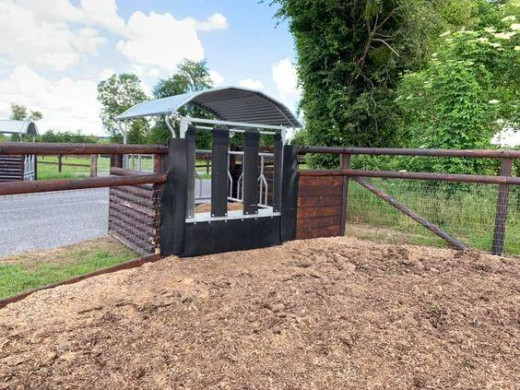 Râtelier à foin pour chevaux : où l’installer et pourquoi ?