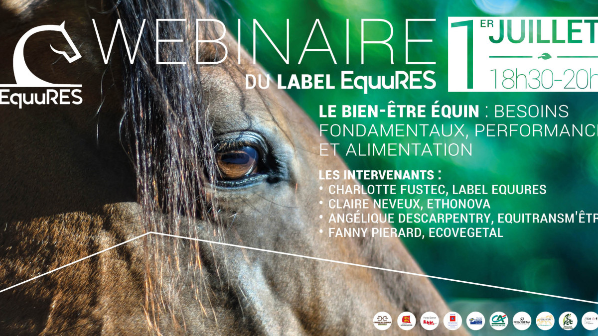 WEBINAIRE « Le bien-être équin, besoins fondamentaux, performance et alimentation »