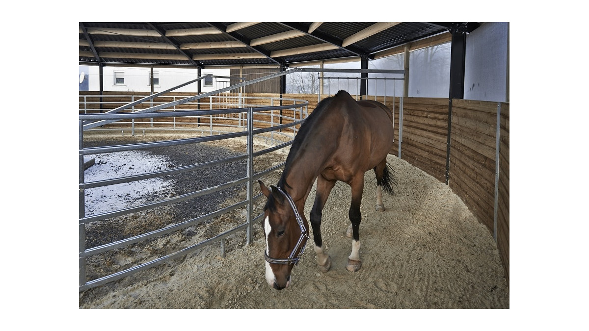 Marcheur pour chevaux : attention au sol !