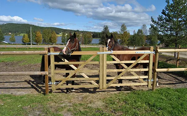 Barrière chevaux Eco-écurie