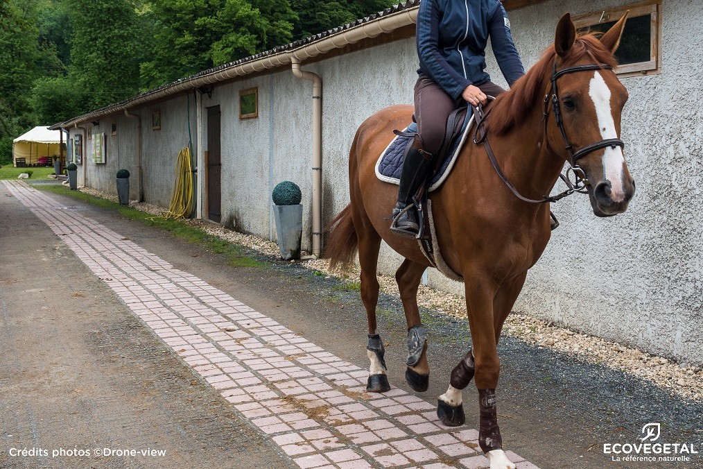 Chemin d'accès écurie dalle de stabilisation