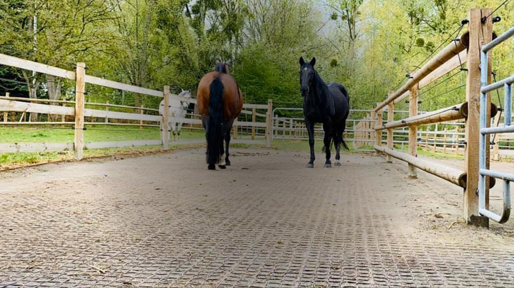 paddock dalles de stabilisation Ecovegetal