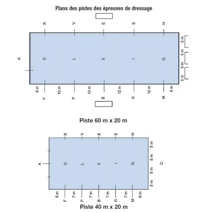 Plan carrière de dressage Eco-écurie