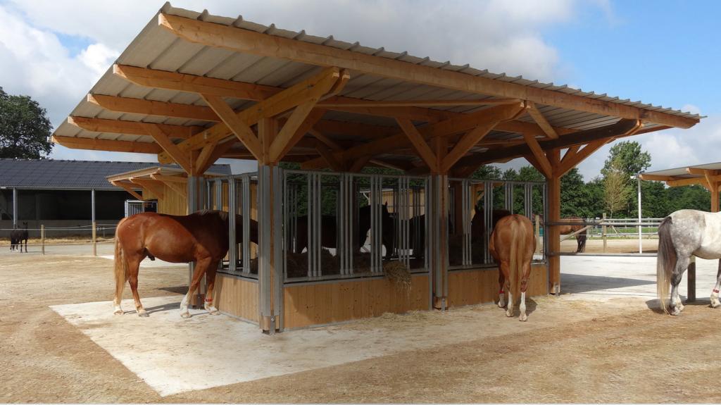 Cornadis ou râtelier à foin chevaux