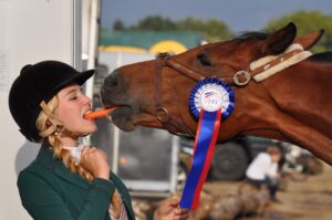 cheval de sport